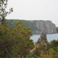 Lastminute Casa vacanze x pet sul mare PraiaaMare