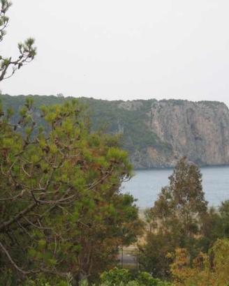 Lastminute Casa vacanze x pet sul mare PraiaaMare