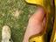 Immagine 5