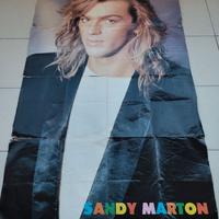 Poster anni 80 Sandy Marton