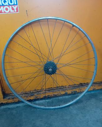 ruota vintage x tubolari