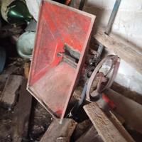  antica pigiatrice uva 