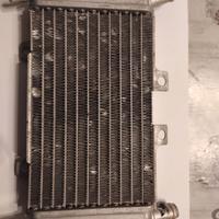 radiatore piaggio