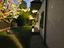 Immagine 26