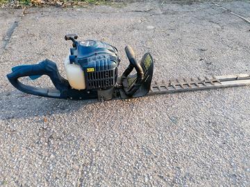 TAGLIASIEPI HEINHELL