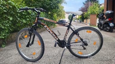 Mountain bike Esperia 