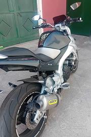 suzuki 600