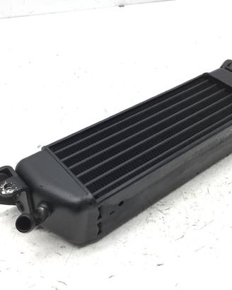 BMW R 1100 RT 1085 RADIATORE OLIO 1998 WB10413AWZD