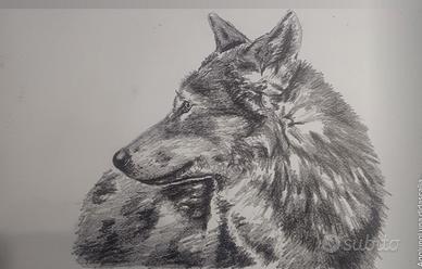 animali carboncino  commissioni 