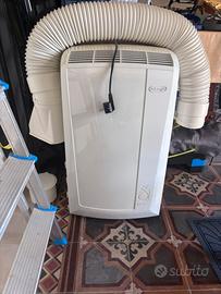 Pinguino de longhi
