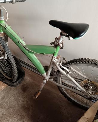 due mountain bike 