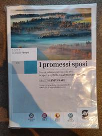 *NUOVO* I Promessi Sposi, Simone per la Scuola