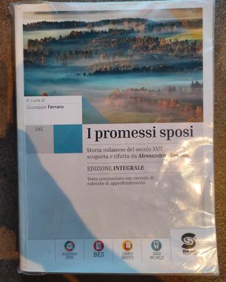 *NUOVO* I Promessi Sposi, Simone per la Scuola