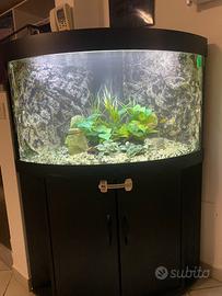 Acquario Juwel Trigon 190