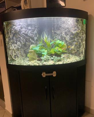 Acquario Juwel Trigon 190