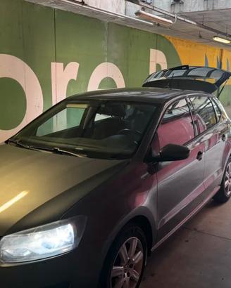 Polo 1.6