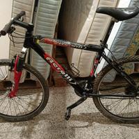 bicicletta mountain bike