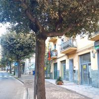 Via Mazzini locale mq. 75 netti