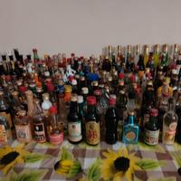 Liquorini mignon