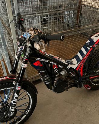 Ossa Altro modello - 2012