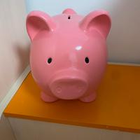 Salvadanaio grande rosa