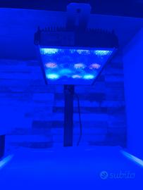 Plafoniera LED PopBloom per Acquario Marino RL60