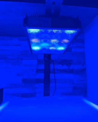 Plafoniera LED PopBloom per Acquario Marino RL60