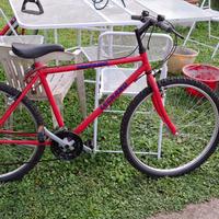 mountain bike legnano 