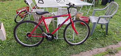 mountain bike legnano 