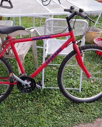 mountain bike legnano 