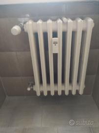 Radiatori - termosifoni in ghisa