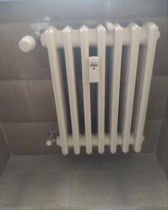 Radiatori - termosifoni in ghisa