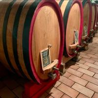 Botti Garbellotto 700 litri