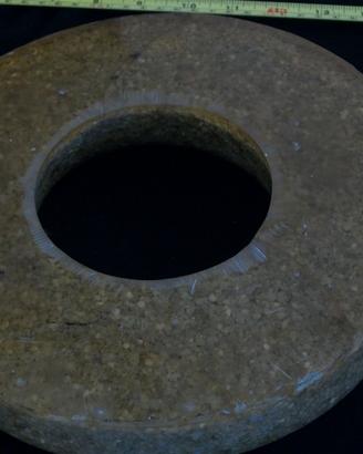 Agglomerato di quarzo radiale espandibile novita'!