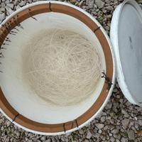 Coffa x spada e tonno piu pinza e altra atrezza