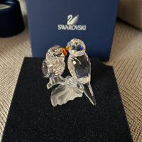 Swarovski colombi