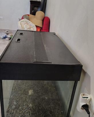 Acquario wave