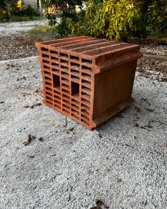 Mattoni forati 25x30