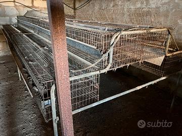 Gabbie per conigli