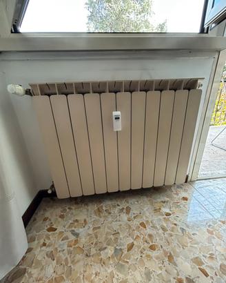 Termosifone 11 elementi