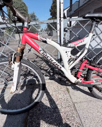 Mountain bike