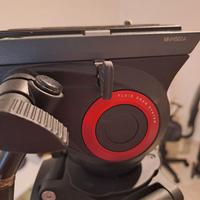 Treppiedi videocamere