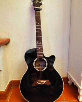 Chitarra acustica Takamine