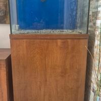 acquario dolce o marino