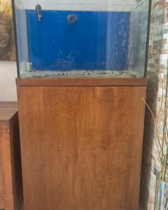acquario dolce o marino