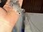 Immagine 1