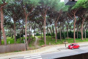 Rif.AA-A36| appartamento quadrilocale