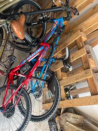 Bici uomo ragazzo bimbo