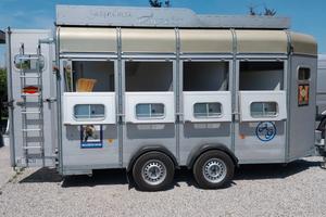 trailer Boeckmann trasporto 3 cavalli 