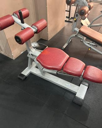 Panca regolabile NessFit professionale